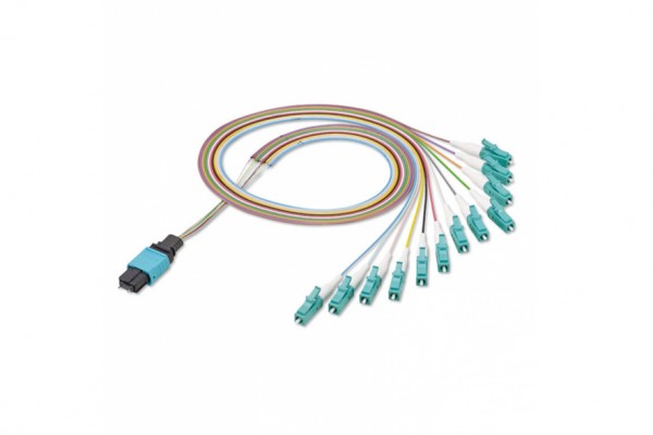 Pre-term Cables